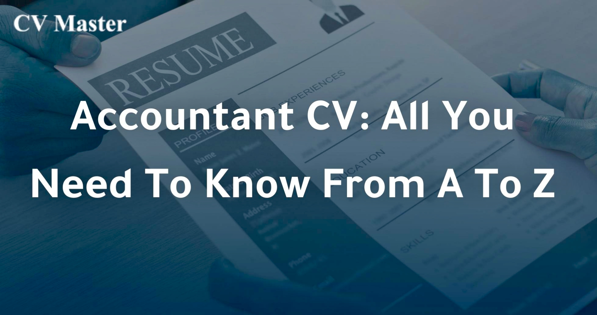 Accountant CV: All You Need To Know From A To Z